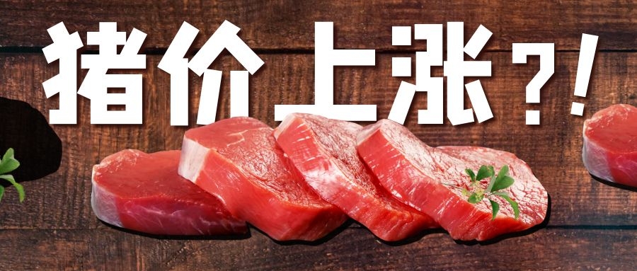 CFT第20周周評：豬價(jià)震蕩偏強(qiáng)，價(jià)格重心繼續(xù)上移預(yù)判不改!